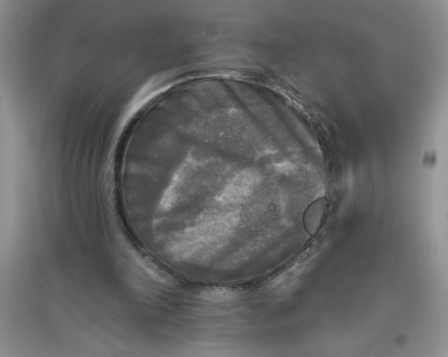 X0000097610198200803141947