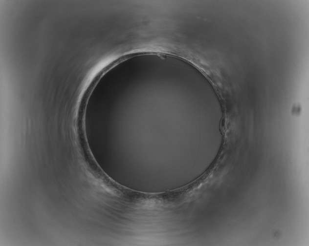 X0000097610200200803141947