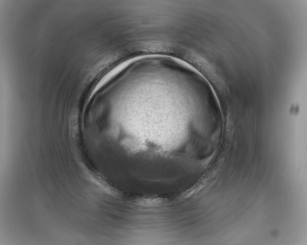 X0000097610202200803141947