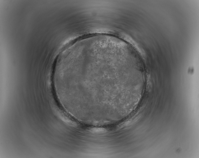 X0000097610203200803141947