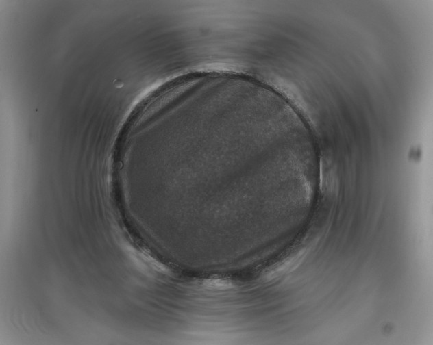 X0000097610204200803141947