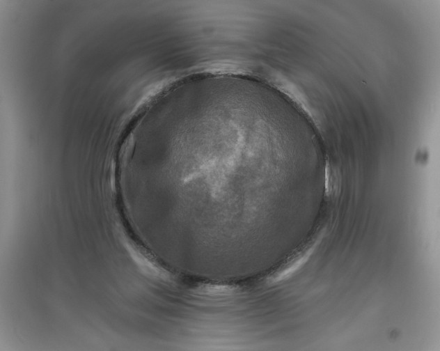 X0000097610205200803141947