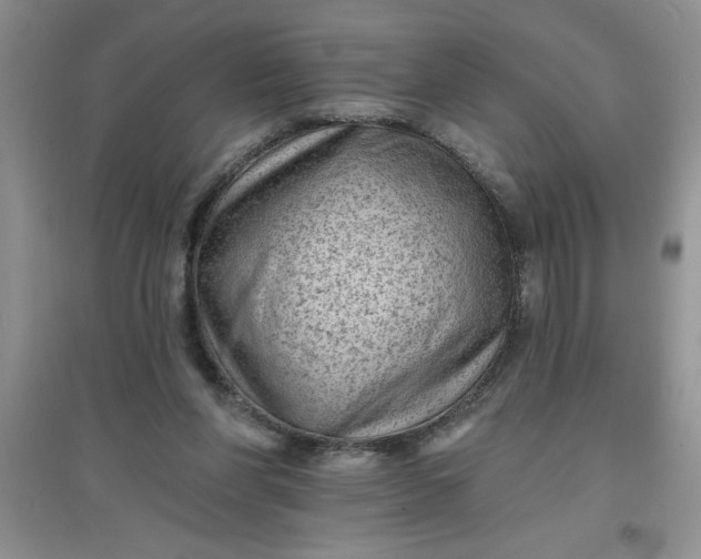 X0000097610206200803141947