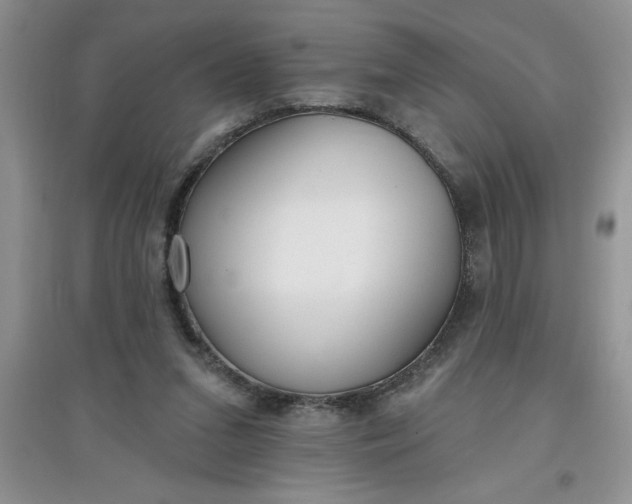 X0000097610207200803141947