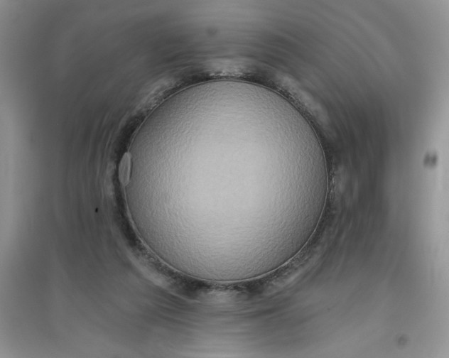 X0000097610209200803141947