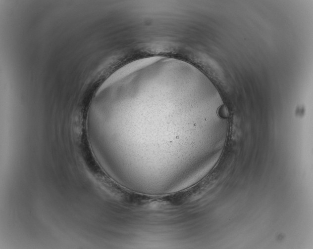 X0000097610210200803141947