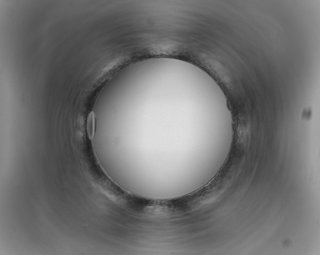 X0000097610211200803141947