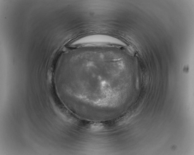 X0000097610214200803141947