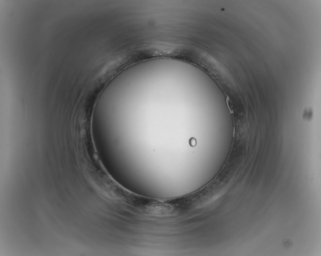 X0000097610215200803141947