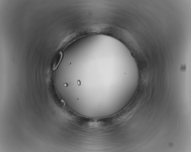 X0000097610216200803141947