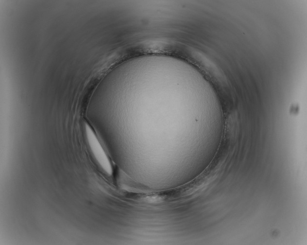 X0000097610217200803141947