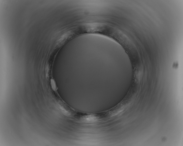 X0000097610219200803141947