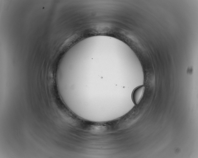 X0000097610220200803141947