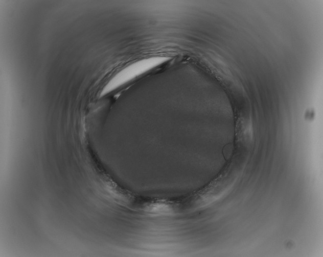 X0000097610224200803141946