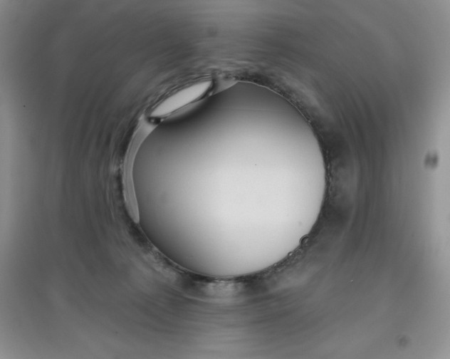 X0000097610225200803141946