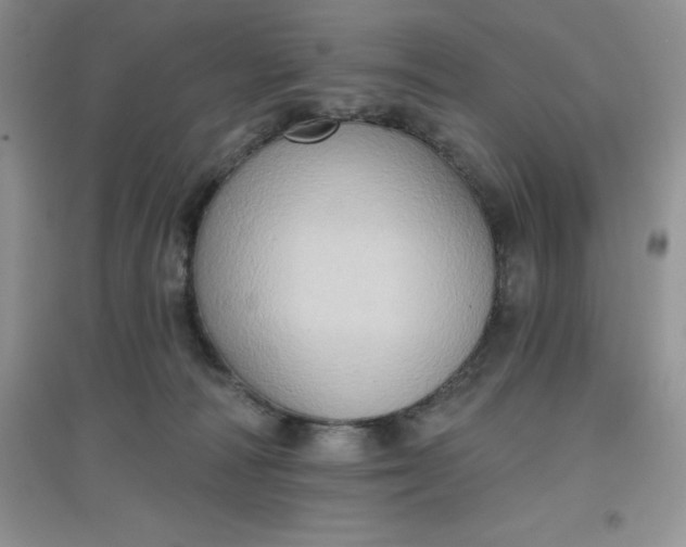 X0000097610226200803141946