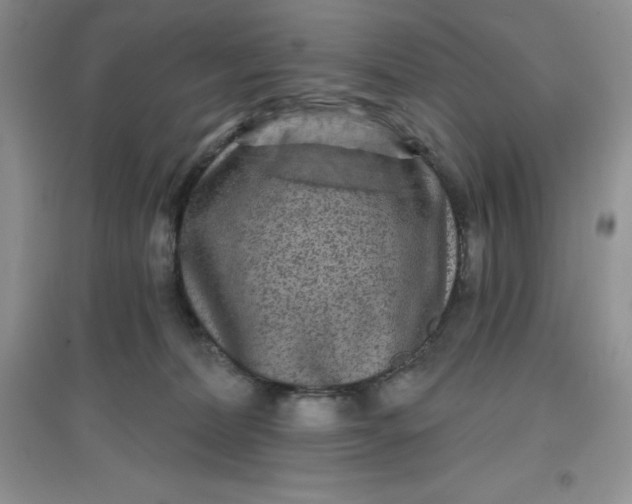 X0000097610228200803141946