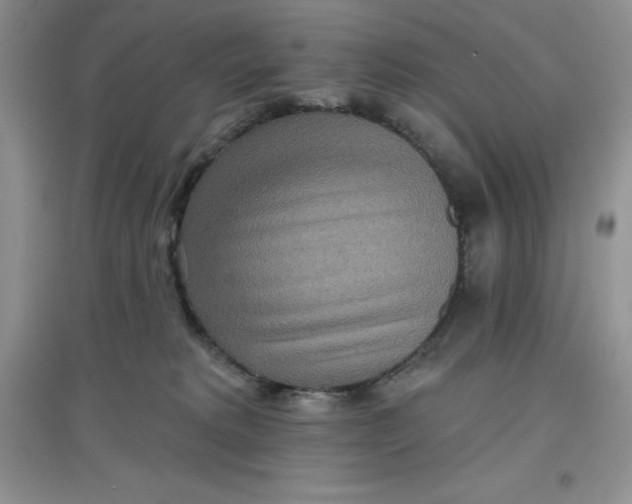 X0000097610229200803141946