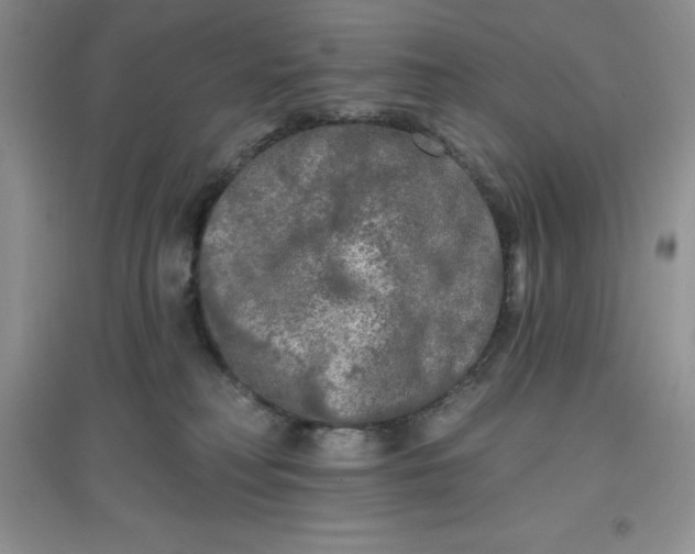 X0000097610230200803141946