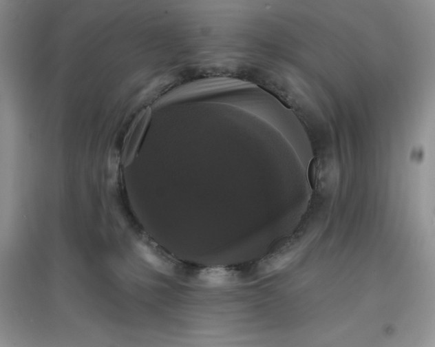 X0000097610231200803141946