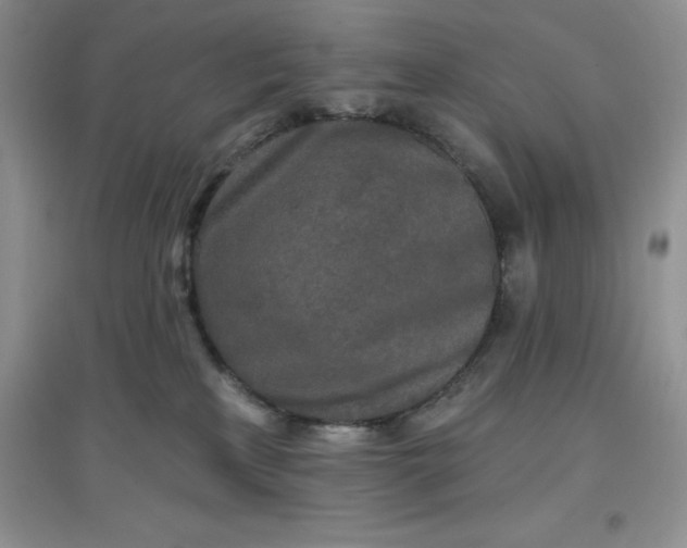 X0000097610233200803141946