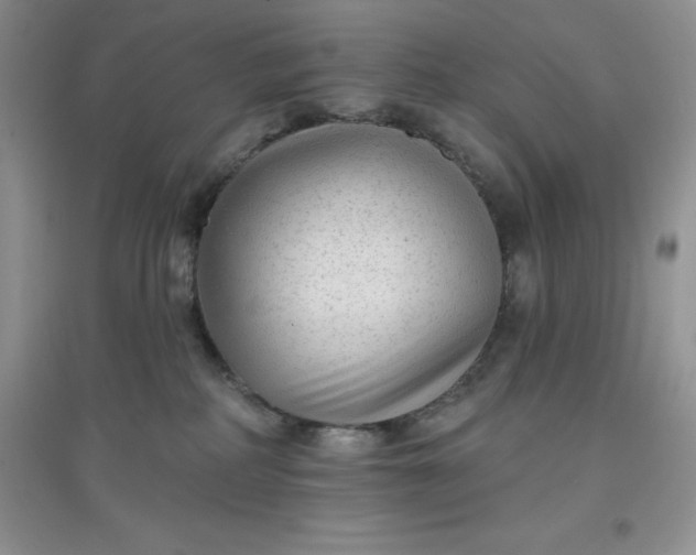 X0000097610234200803141946