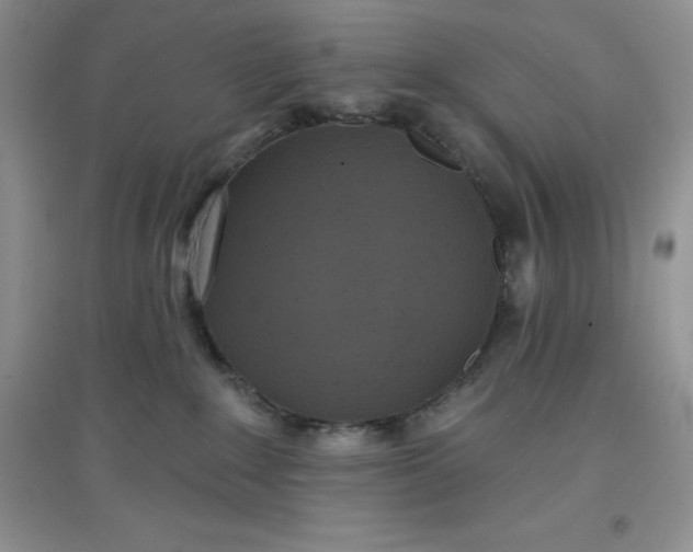 X0000097610235200803141946