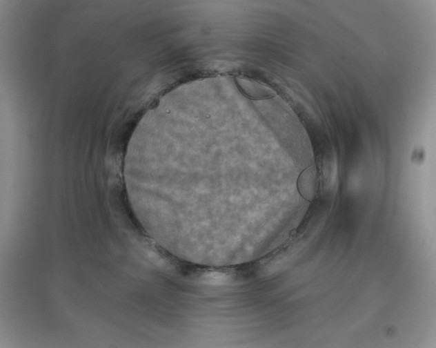 X0000097610236200803141946