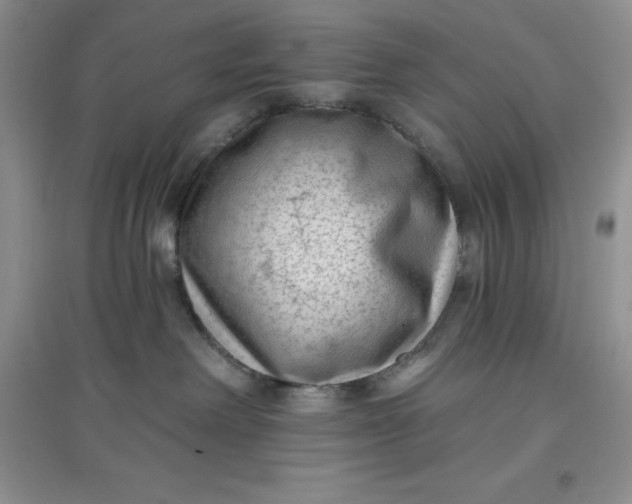 X0000097610238200803141946