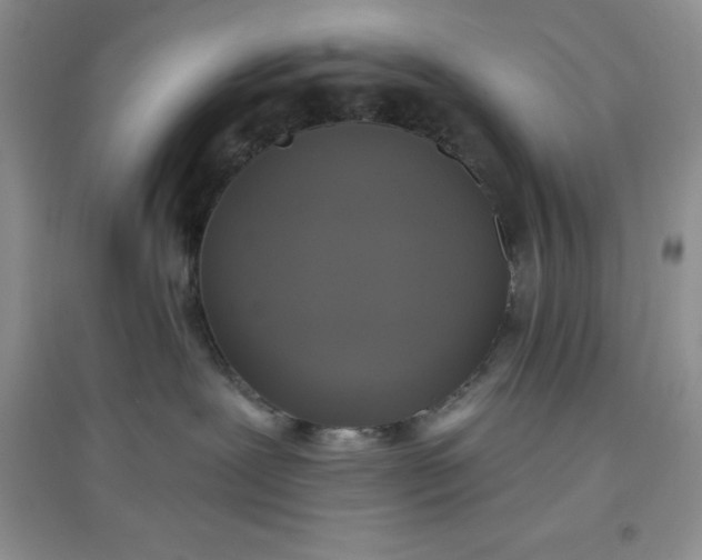 X0000097610239200803141946