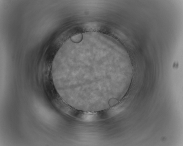 X0000097610240200803141946