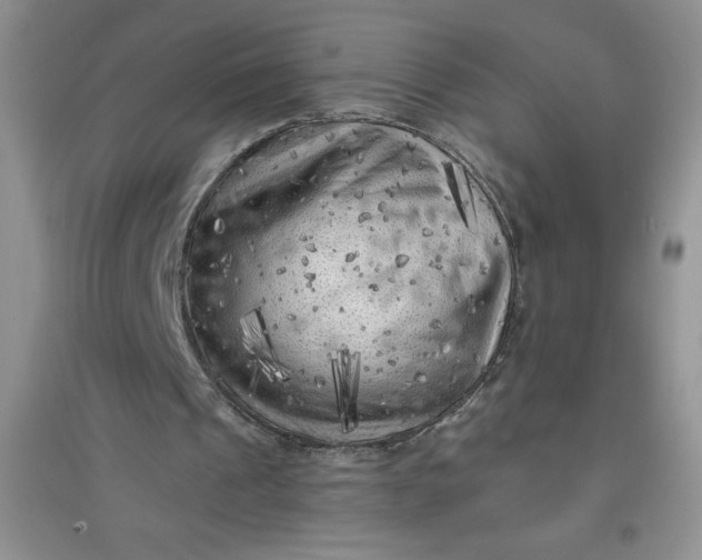 X0000097610241200803141946