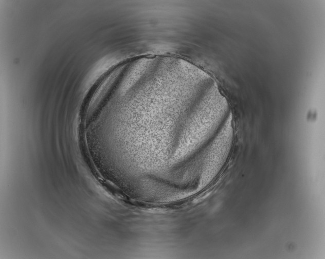 X0000097610242200803141946