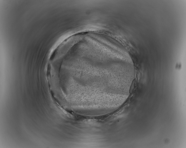 X0000097610244200803141946