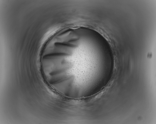 X0000097610245200803141946