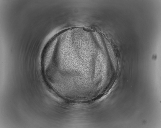 X0000097610246200803141946