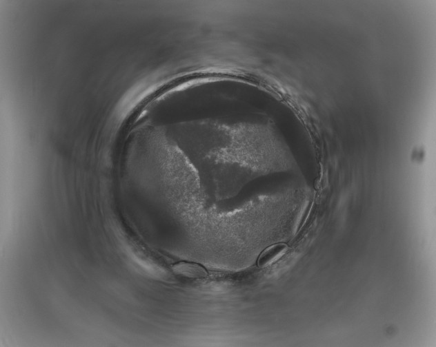 X0000097610247200803141946