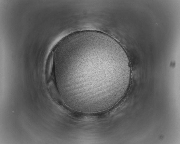 X0000097610248200803141946