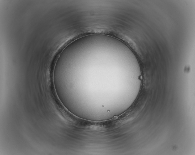 X0000097610251200803141946