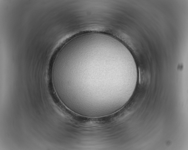 X0000097610252200803141946