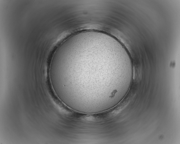 X0000097610253200803141946