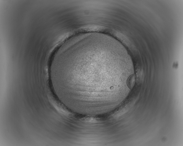 X0000097610254200803141946