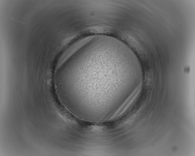 X0000097610255200803141946