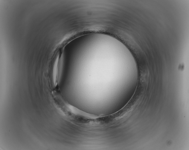 X0000097610256200803141946