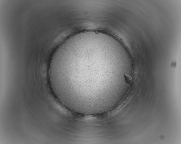 X0000097610257200803141946