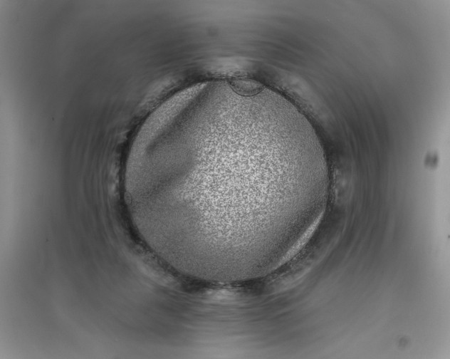 X0000097610259200803141946