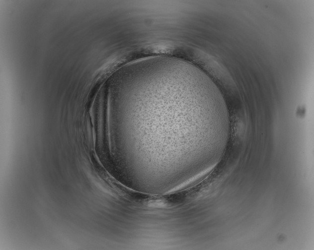 X0000097610262200803141946