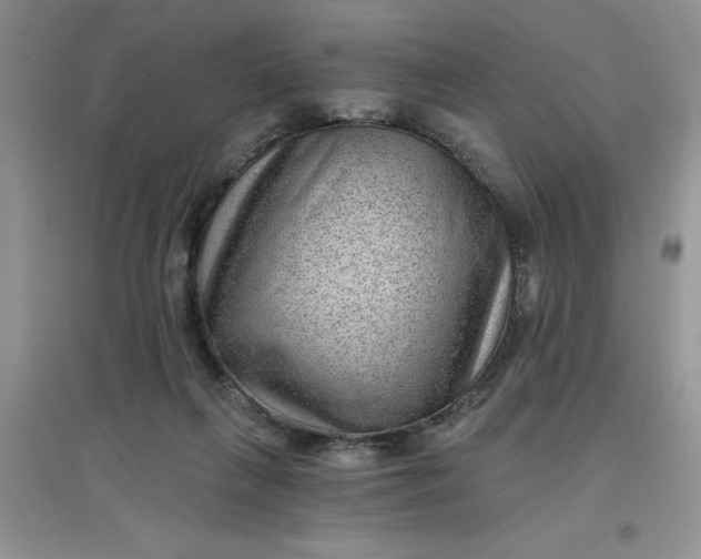 X0000097610263200803141946