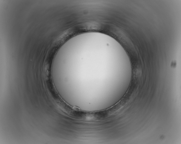 X0000097610264200803141946