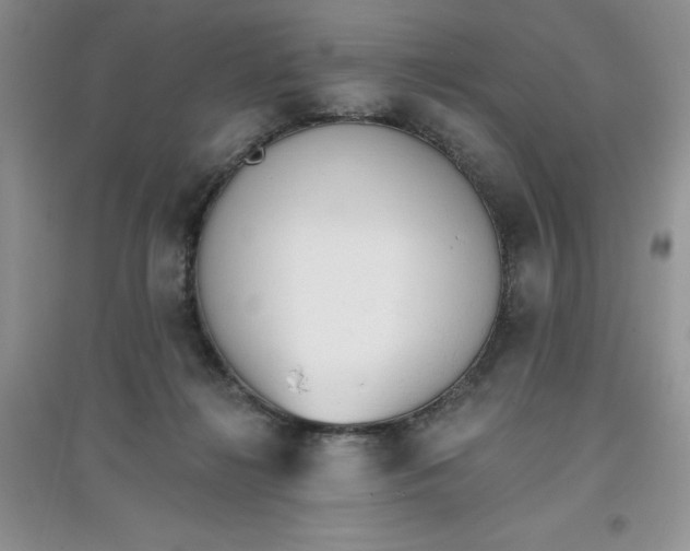 X0000097610268200803141946